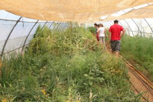 Ecoaldea / Ecovillage Los Portales: de la Comunidad Intencional a la idealizada